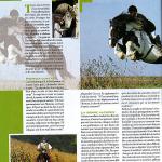 article-7-1